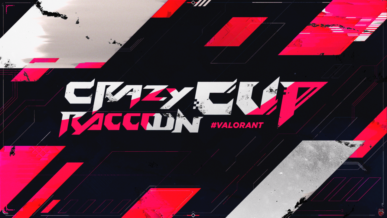 Crazy Raccoon Cup